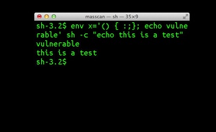 L'interpréteur de commandes Bash, sous Linux.