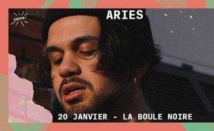 L'artiste Aries