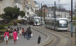 La ligne 1 de tram sera coupée entre Manufacture et Médiathèque.