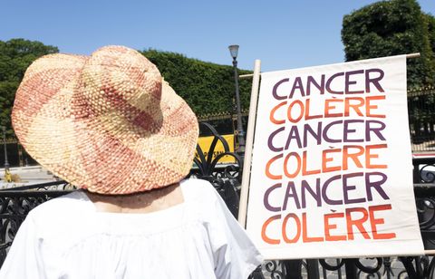 La pétition contre la loi Duplomb a dépassé les 2 millions de signatures 