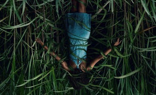 «Dans les hautes herbes», une adaptation de Stephen King, à retrouver sur Netflix pour Halloween