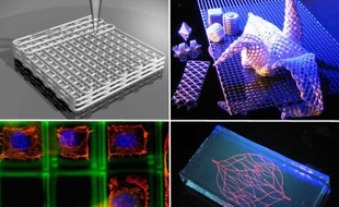 L'impression 3D permet de tout manipuler, du plastique jusqu'aux cellules du vivant.