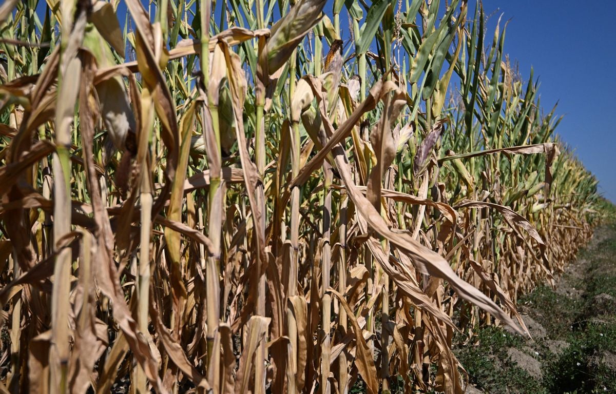 La Sécheresse frappe plus de la moitié de l'Europe et du pourtour méditerranéen depuis avril