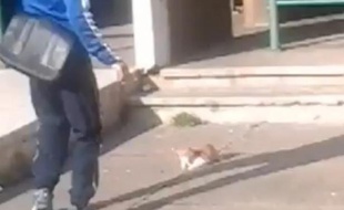 Capture d'écran YouTube d'un homme jetant un chat en l'air à Marseille.