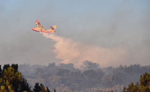 Un canadair lutte contre les flammes près de Générac dans le Gard.