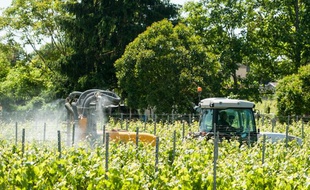 Application de pesticides dans des vignes bordelaises