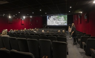 Malgré un frémissement observé depuis la rentrée, les salles de cinéma peinent à retrouver leur public.