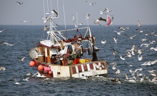 Illustration d'un bateau de pêcheurs ligneurs ici au large de Quiberon, en Bretagne.