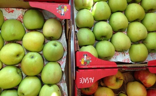 150 caisses de pommes ont été vendues à un seul client dans un supermarché de La Havane, à Cuba.