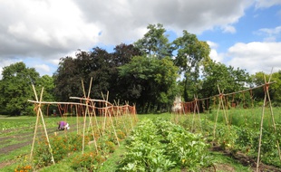 Le bois de Vincennes accueille déjà depuis 2014 une petite ferme où les Franciliens peuvent cultiver leurs légumes et fruits ou venir en acheter.