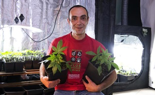 Dominique Broc, le fondateur des Cannabis social clubs (CSC) devant sa production, le 4 janvier 2013, près de Tours (Indre-et-Loire).