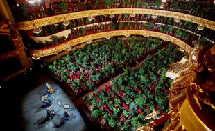Espagne : Premier concert dans un opéra de Barcelone devant 2.200 plantes
