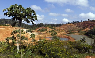 Image d'illustration d'une mine d'or légale en Guyane.