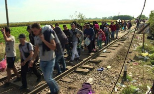 Les derniers migrants passent la frontière Serbo-hongroise