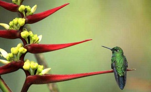 L'exposition sur la biodiversité en Equateur a été réalisée par deux biologistes