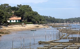 La surmortalité des huîtres depuis 2008 a alerté le Ceser sur la qualité des eaux du littoral.