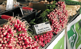 Le maraîchage représente
20 % de la production bio.