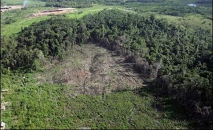 Du Mexique à l'Amazonie, la savane gagne sur la forêt en Amérique latine et la désertification s'étend. Sous l'effet des sécheresses à venir, la salinisation et la désertification des terres agricoles menacent la sécurité alimentaire du continent, selon le rapport des experts sur les impacts du changement climatique publié vendredi à Bruxelles.
