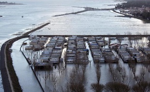 Photo aérienne de la ville de Faute-sur-Mer le 1er mars 2010 où les maisons qui sont juste derrière la digue ont été inondées après la tempête Xynthia.