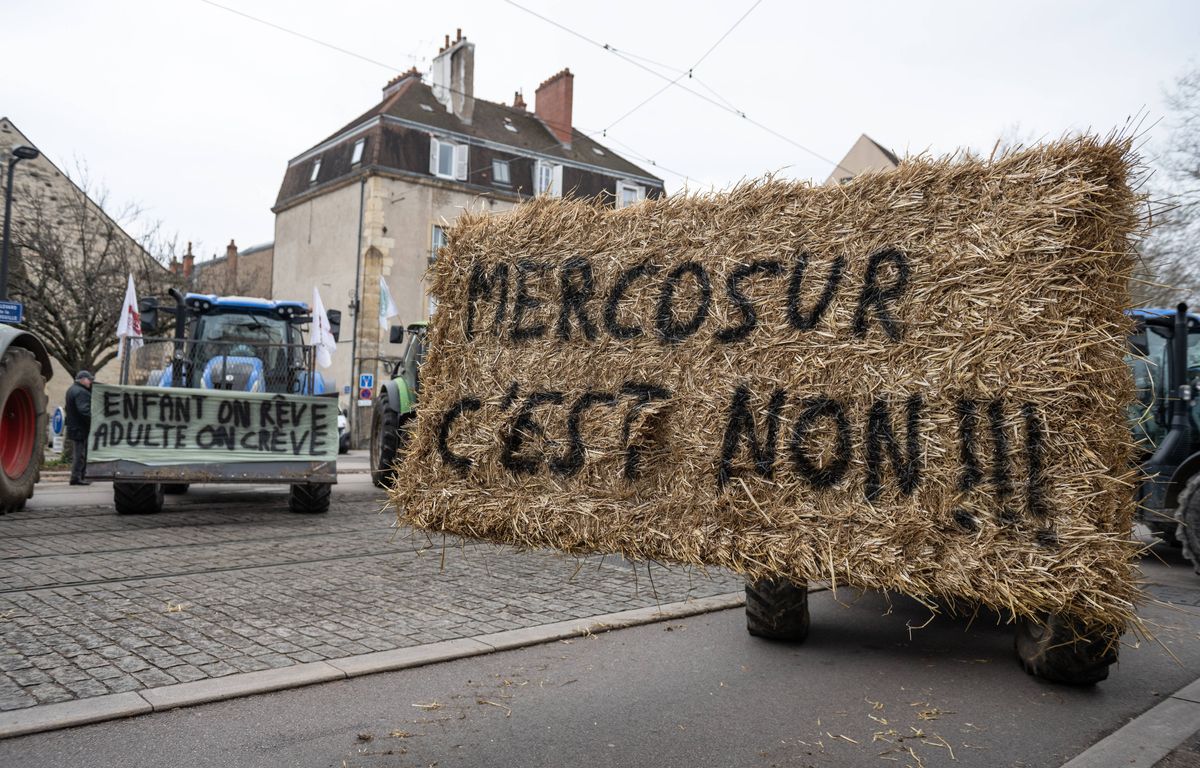 Accord UE-Mercosur : Les syndicats agricoles français restent vent debout contre un accord jugé « toxique »