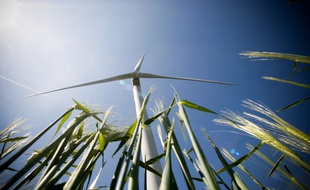 Dans un parc éolien. Illustration.