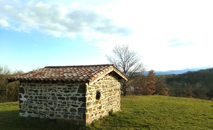 Illustration à la campagne dans le Rhône, février 2020.
