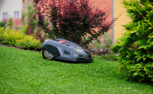 Pour vous aider à choisir, voici un comparatif des meilleurs robots tondeuses