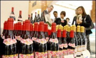 Le Beaujolais nouveau 2006, à déguster à partir de ce jeudi, devrait combler les amateurs de vins frais et fruités mais il ne suffira sans doute pas à consoler les producteurs de la région, qui tardent à sortir d'une crise structurelle.