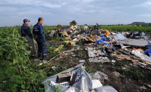 Le site du crash de l'avion de la Malaysia Airlines MH17 dans un champ de tournesols près de Rassipnoe, dans l'est de l'Ukraine une zone tenue par les rebelles pro-russes le 19 juillet 2014