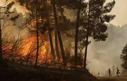 La France envoie deux Canadair pour aider à lutter contre le feu