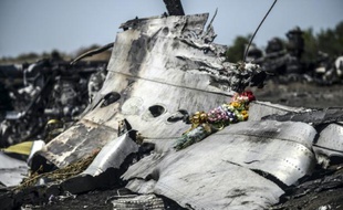 Des fleurs apportées posées sur des débris du MH17, le 26 juillet 2014 à Grabove, dans la région de Donetsk, en Ukraine