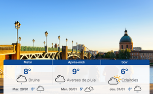 Météo Toulouse: Prévisions du lundi 28 janvier 2019
