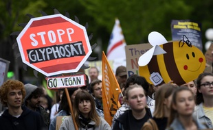 La pression de la rue était forte contre le glyphosate, en Allemagne aussi.