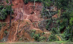Une mine d'or abandonnée dans la région de Dorlin, en Guyane, le 12 juillet 2012