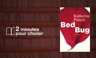 Bed Bug