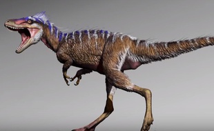 Baptisé Moros intrepidus, ce «mini-tyrannosaure» vivait il y a environ 96 millions d'années là où se trouve maintenant l'Utah.