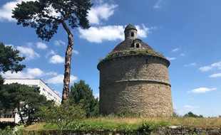 Le pigeonnier des Dervallières à Nantes, le 24 juin 2021