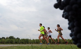 Illustration du marathon du Médoc 2015. AFP PHOTO / NICOLAS TUCAT