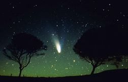 Où et quand voir les étoiles filantes cette nuit du 12 août ?
