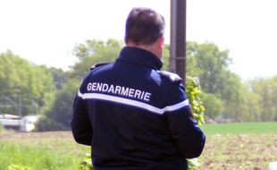 Un gendarme intervient sur un accident de la route, ici près de Rennes (illustration).