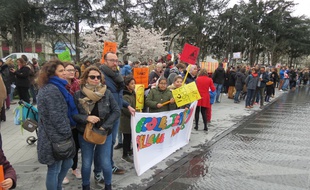 Manifestation d'enseignants et familles devant le miroir d'eau à Nantes, le 16 mars 2019.