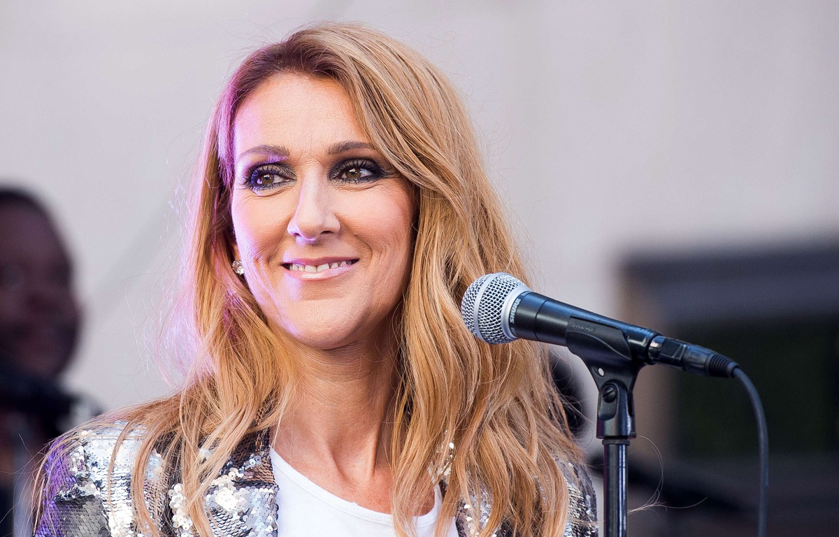 Sac a main outlet celine dion simons