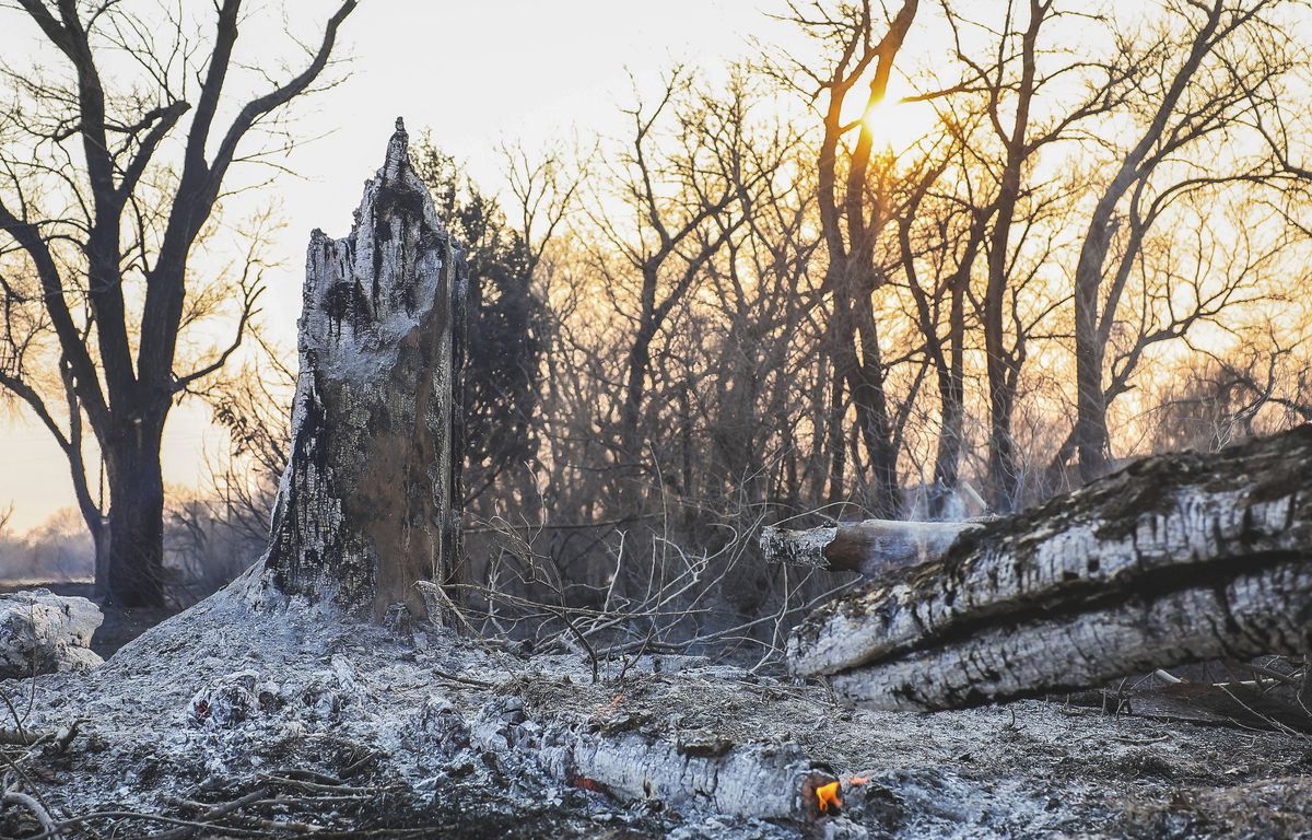 Etats-Unis : Un mort dans des incendies hors de contrôle qui ravagent le Texas