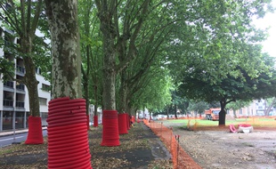 Le réaménagement de la place André Meunier a commencé ce mardi à Bordeaux.