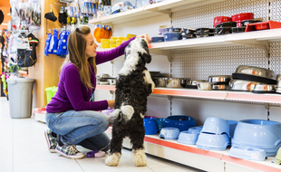 Les ventes de produits pour animaux ont connu une croissance exponentielle grâce à la crise sanitaire.
