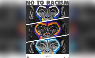 Ces singes peints par l'artiste italien Simone Fugazzotto font partie d'une campagne antiraciste de la ligue italienne de football.