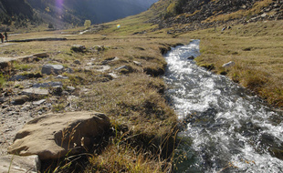 Illustration Pyrénées