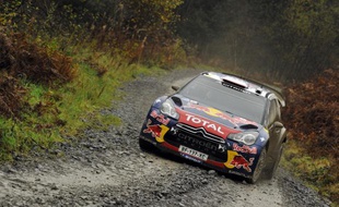 Le pilote français Sébastien Loeb, lors du rallye de Grande-Bretagne, le 11 novembre 2011.