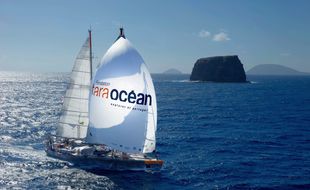 La goélette scientifique de la Fondation Tara Océan repart en mer samedi pour une nouvelle mission de deux ans et 70.000 km. Elle sera consacrée au microbiome.