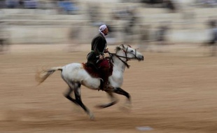 Les chevaux puissants ruent en s'enfonçant dans la mêlée animale quand leurs cavaliers, fouet à la main ou entre les dents, cherchent à s'emparer du trophée, le cadavre d'un veau : le bouzkachi, sport centenaire afghan, est aussi magique que violent.